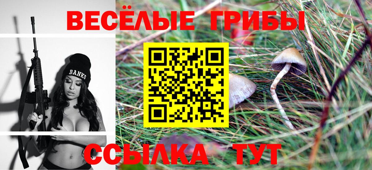Псилоцибиновые грибы Psilocybe  Псилоцибиновые грибы ЛСД  Изобильный  Вход с VPN 