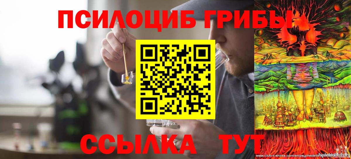 Галлюциногенные грибы мицелий Изобильный